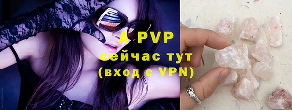 сатива Баксан