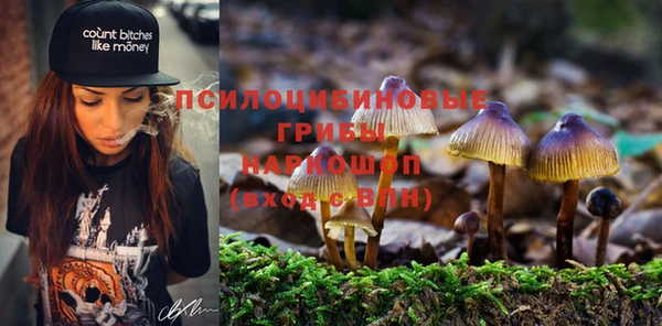гашиш Аркадак