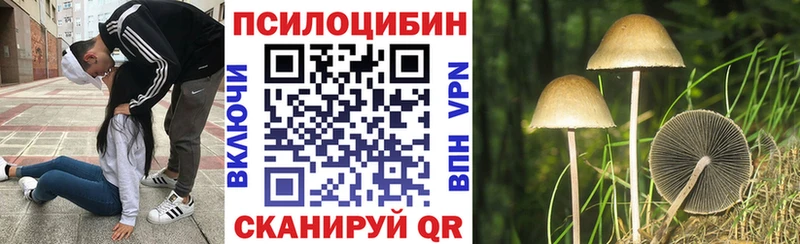 Галлюциногенные грибы прущие грибы  закладки  Ясногорск 